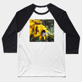 Beautiful Bumble Bee Baseball T-Shirt